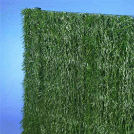 Fensogreen super sprietjeshaag